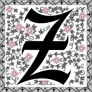 Z